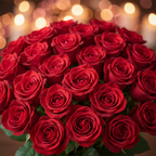 24 red roses close up